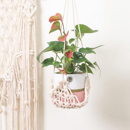 Handmade Woven Tapestry & Tassel Wall Hanging